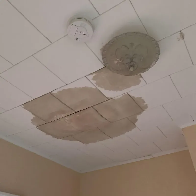 Ceiling Water Damage Repair in Granville, OH