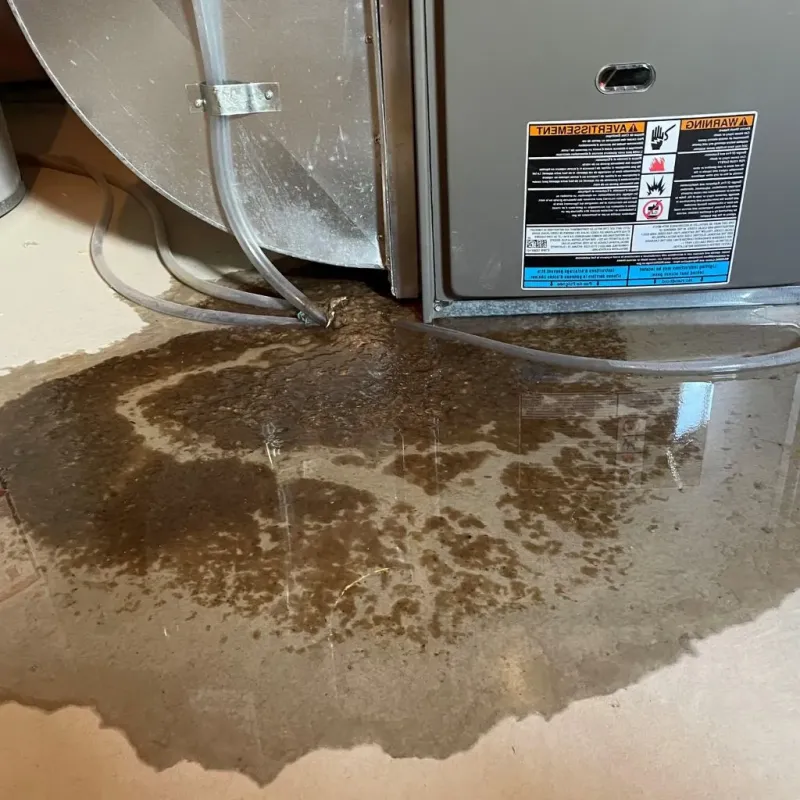 Pipe Burst and Leak Restoration in Granville, OH