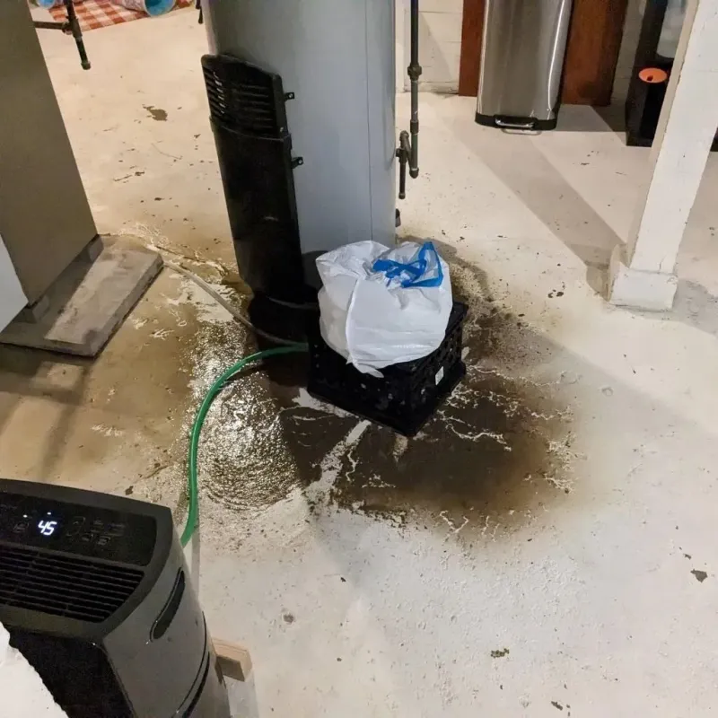 Sewage Backup Cleanup Service in Granville, OH